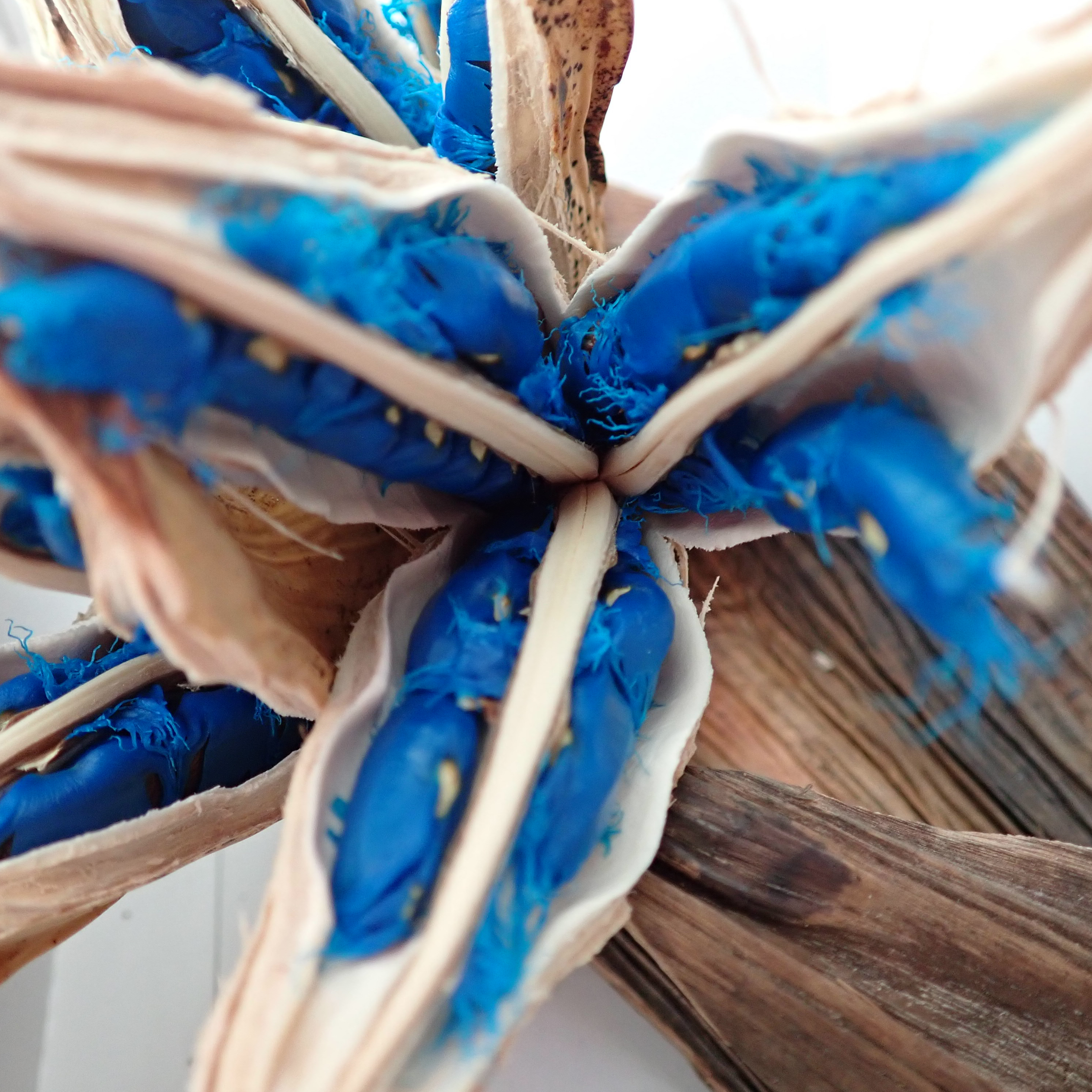 47都道府県　さんぽ