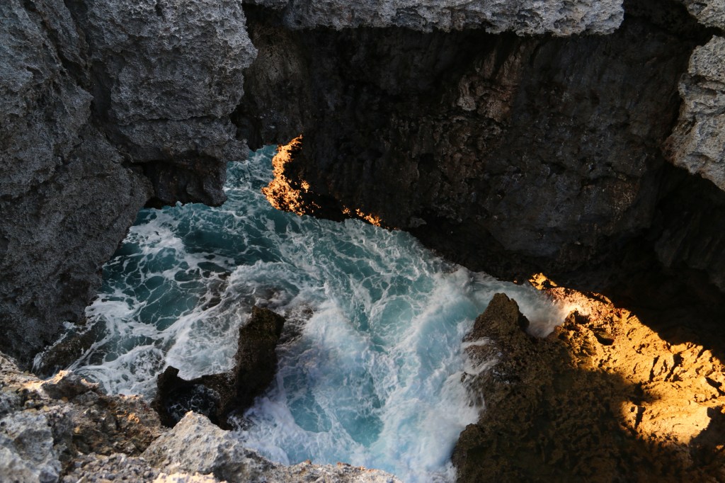 鍾乳洞の沖永良部島・闘牛の徳之島