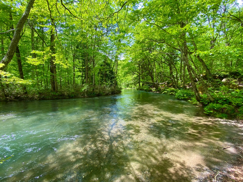 八甲田山ドライブ　十和田湖/奥入瀬/酸ヶ湯