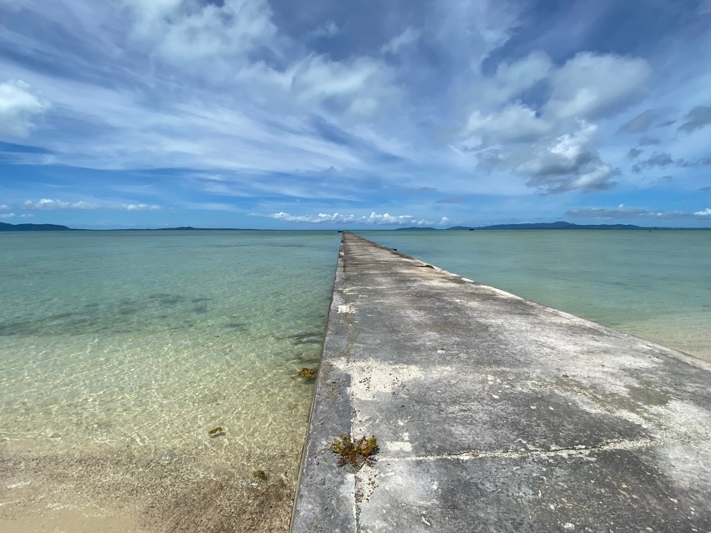 人よりも牛が多い！　黒島