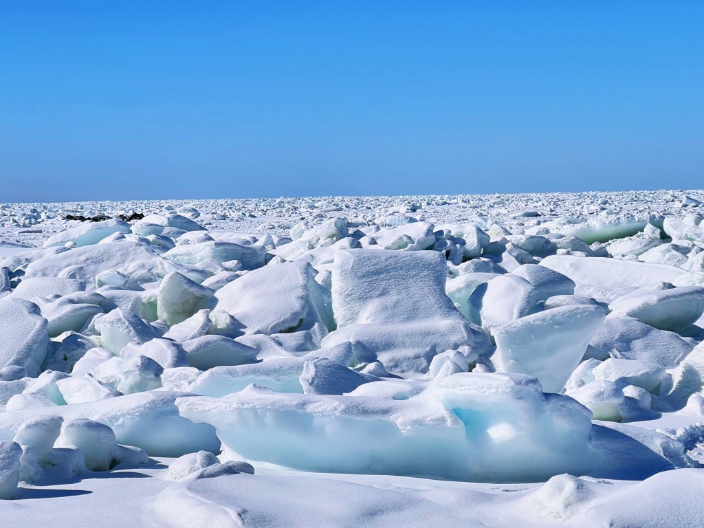 冬の白銀世界　知床